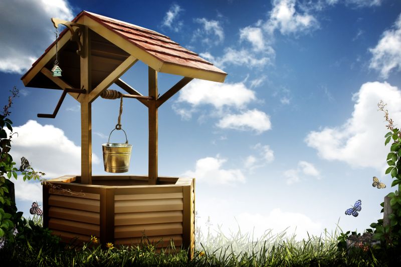 Completed Well System